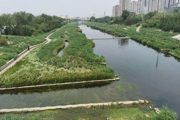 河流湖泊水草生态治理2