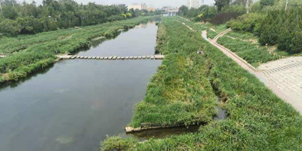 河流湖泊水草生态治理